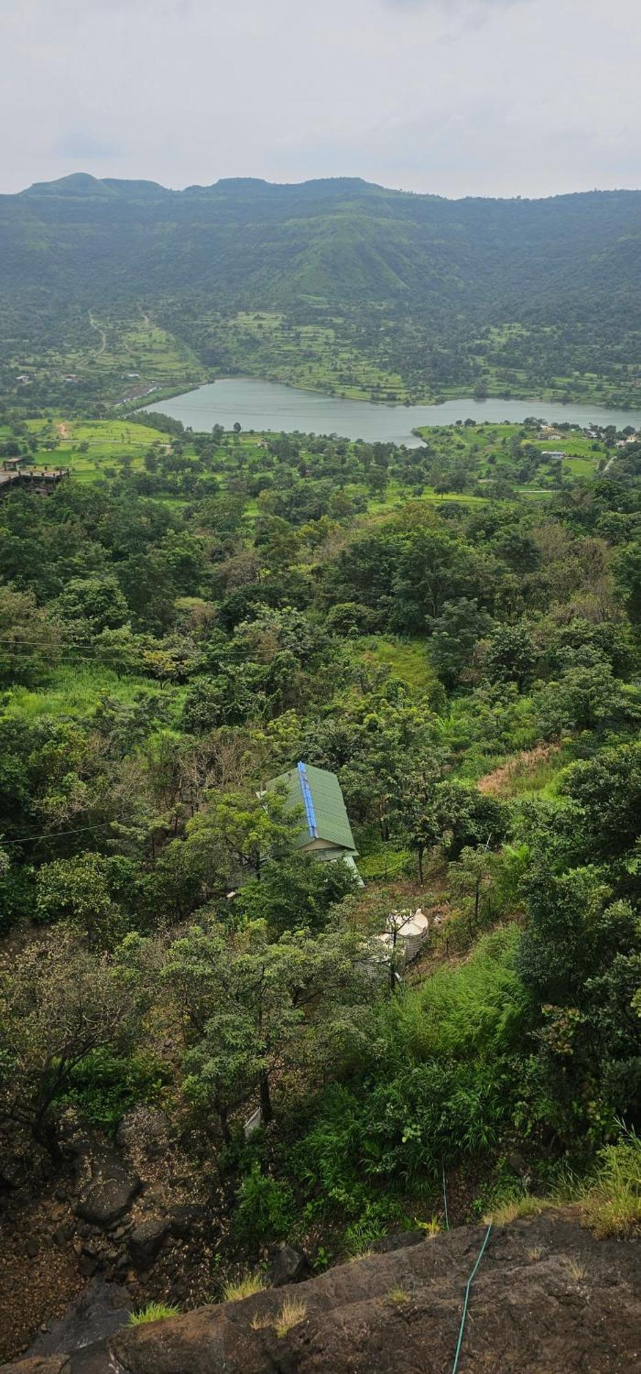 浦那Forest Den别墅 外观 照片